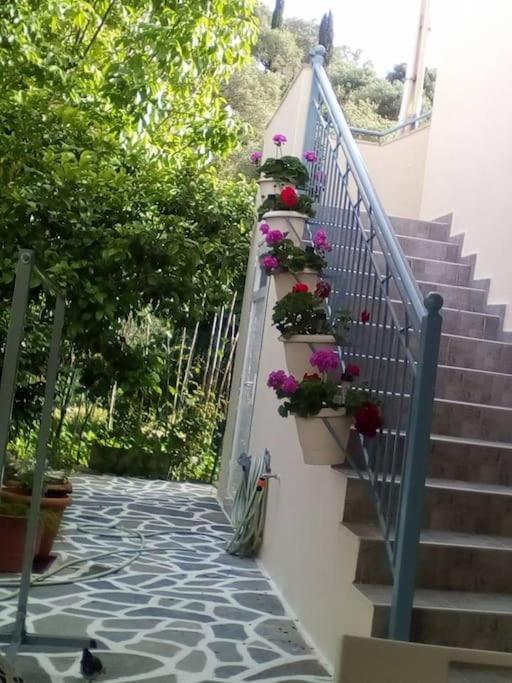 Apartamento Elen'S House Sívota Exterior foto